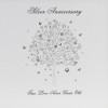 Silver Anniversary  -  Handmade Anniversary Card -  BB12
