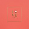 Love Is All We Need  -  Open / Valentine's Day Card -  X8