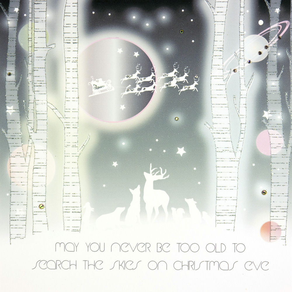 Search The Skies On Christmas Eve - Handmade Open Christmas Card / WS10