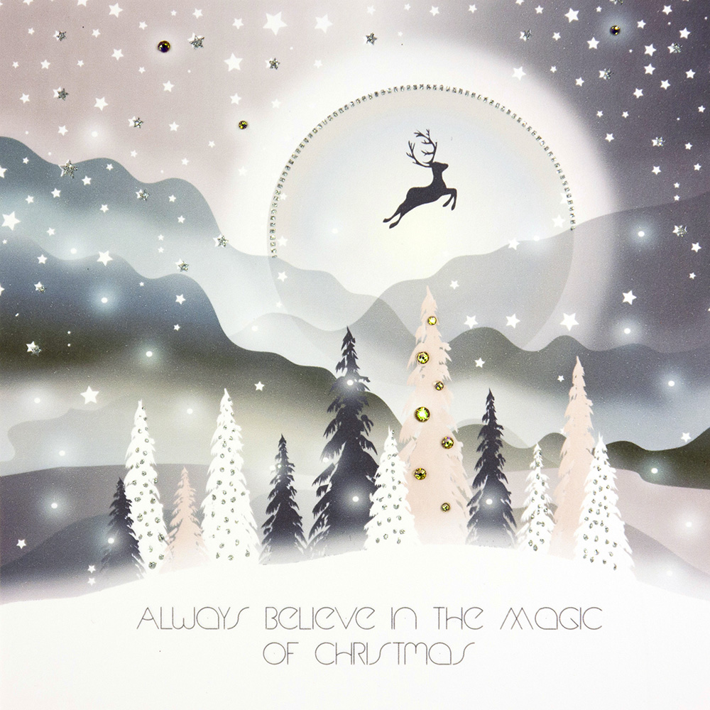 Always Believe In The Magic - Handmade Open Christmas Card / WS7