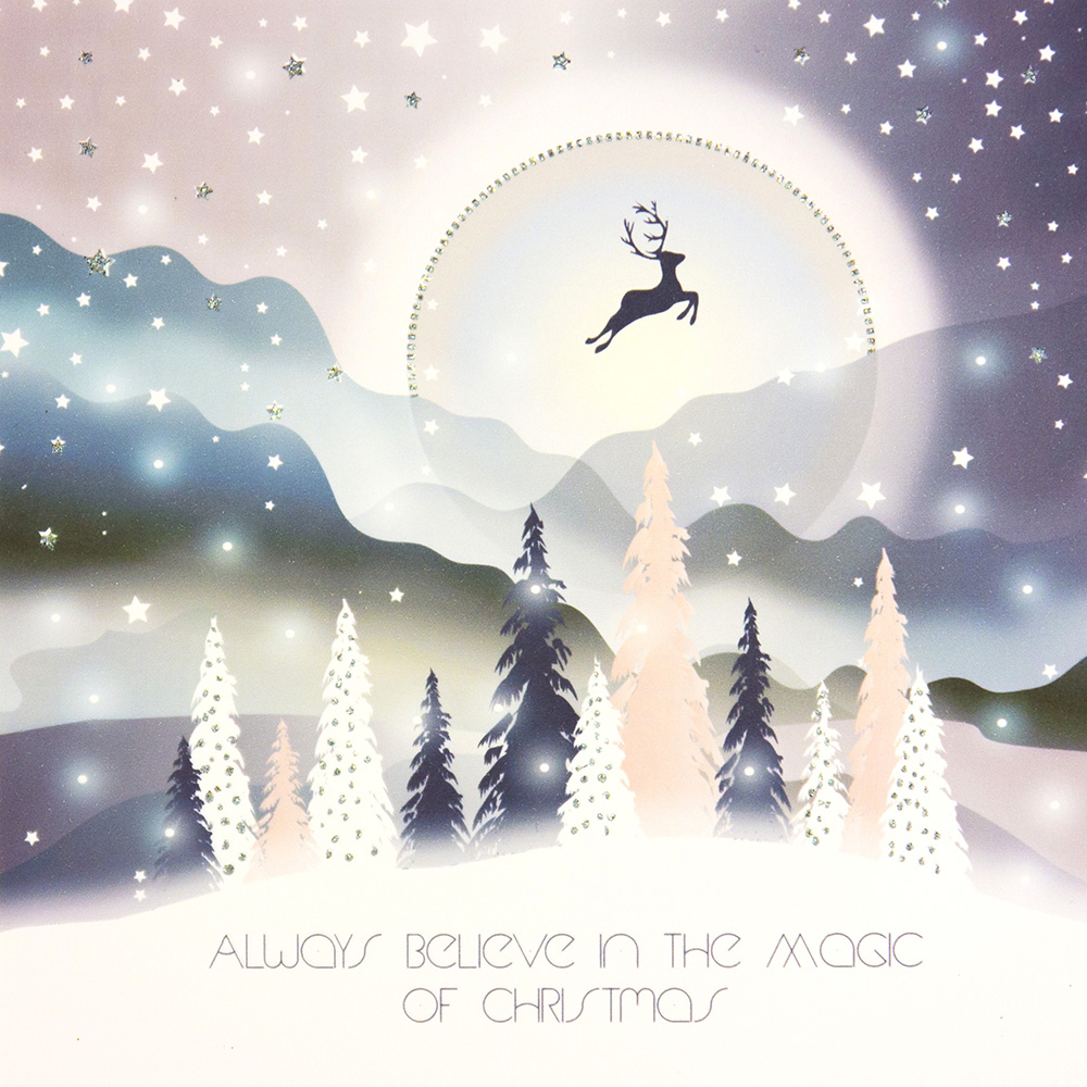 Always Believe In The Magic Of Christmas - Boxed Christmas Cards ( 6 Per Box ) / WSB7