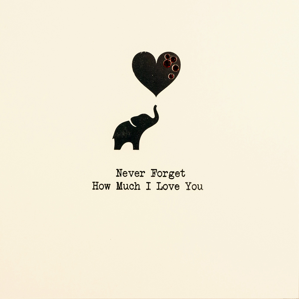 Never Forget How Much I Love You Handmade Open Valentine s Day Card 